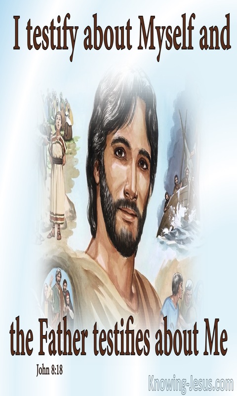 John 8:18 Jesus Testifies About Himself (brown)